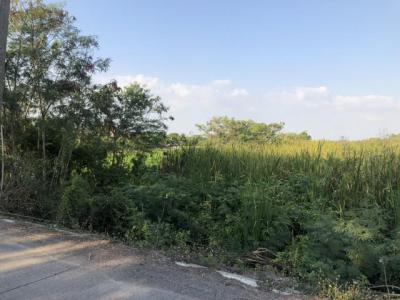 ที่ดิน 800000 ปทุมธานี ลาดหลุมแก้ว บ่อเงิน