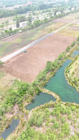 ที่ดิน 2890000 ปทุมธานี คลองหลวง คลองสาม ที่ดิน 2890000 ปทุมธานี คลองหลวง คลองสาม