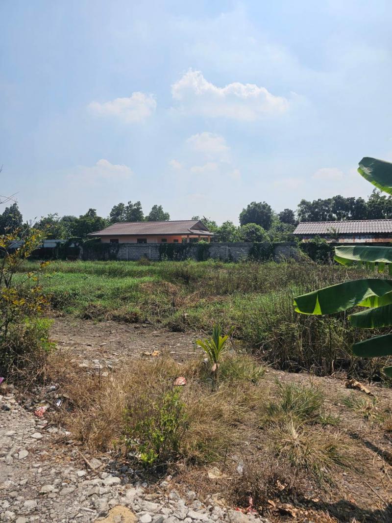 ที่ดิน 9900000 ปทุมธานี คลองหลวง คลองสอง ที่ดิน 9900000 ปทุมธานี คลองหลวง คลองสอง