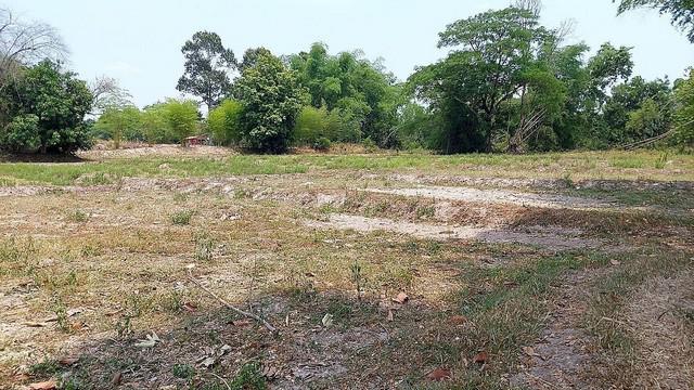 ที่ดิน 6500000 หนองคาย เมืองหนองคาย วัดธาตุ ที่ดิน 6500000 หนองคาย เมืองหนองคาย วัดธาตุ