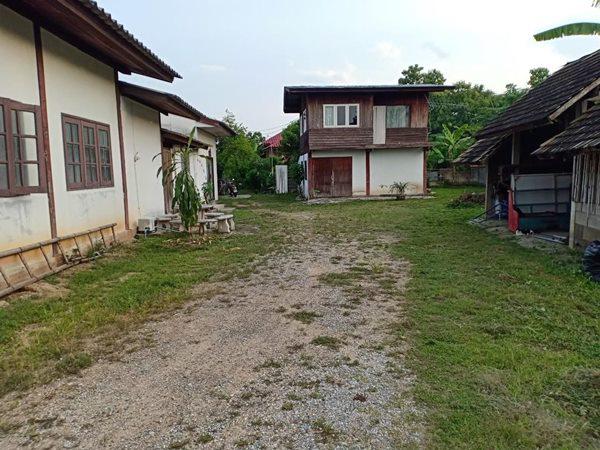 ที่ดิน 24500 เชียงใหม่ หางดง หนองควาย ที่ดิน 24500 เชียงใหม่ หางดง หนองควาย