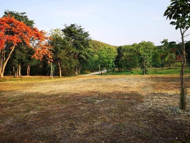 ที่ดิน 12000 เชียงใหม่ หางดง น้ำแพร่ ที่ดิน 12000 เชียงใหม่ หางดง น้ำแพร่