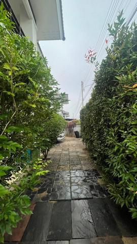 บ้านเดี่ยว 3900000 เชียงใหม่ ดอยสะเก็ด สันปูเลย บ้านเดี่ยว 3900000 เชียงใหม่ ดอยสะเก็ด สันปูเลย