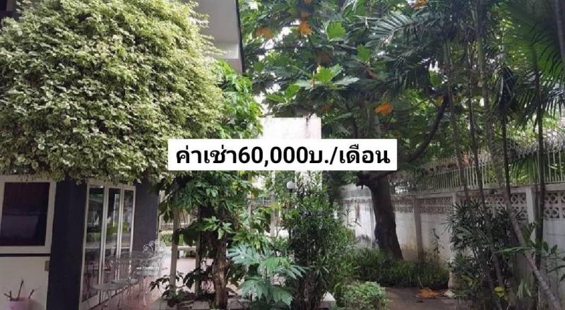 บ้านเดี่ยว 60000 กรุงเทพมหานคร เขตจตุจักร ลาดยาว บ้านเดี่ยว 60000 กรุงเทพมหานคร เขตจตุจักร ลาดยาว