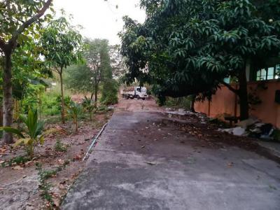 บ้านเดี่ยว 3300000 นนทบุรี บางใหญ่ บ้านใหม่