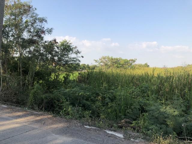 ที่ดิน 800000 ปทุมธานี ลาดหลุมแก้ว บ่อเงิน ที่ดิน 800000 ปทุมธานี ลาดหลุมแก้ว บ่อเงิน