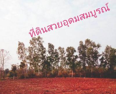 ที่ดิน 180000 เพชรบูรณ์ หล่มเก่า หล่มเก่า