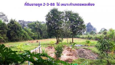ที่ดิน 2500000 ปราจีนบุรี เมืองปราจีนบุรี โนนห้อม