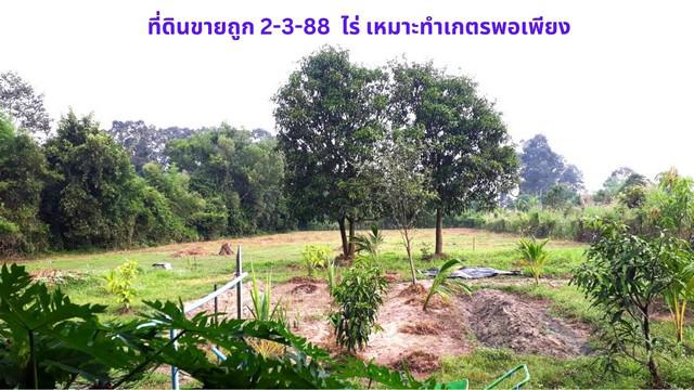 ที่ดิน 2500000 ปราจีนบุรี เมืองปราจีนบุรี โนนห้อม ที่ดิน 2500000 ปราจีนบุรี เมืองปราจีนบุรี โนนห้อม