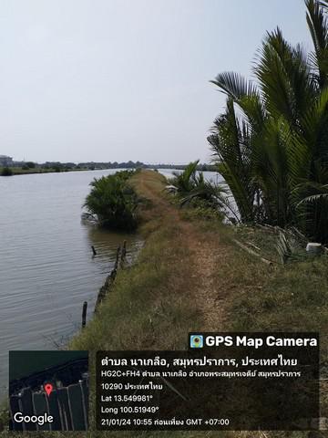 ที่ดิน 2200000 สมุทรปราการ พระสมุทรเจดีย์ นาเกลือ ที่ดิน 2200000 สมุทรปราการ พระสมุทรเจดีย์ นาเกลือ
