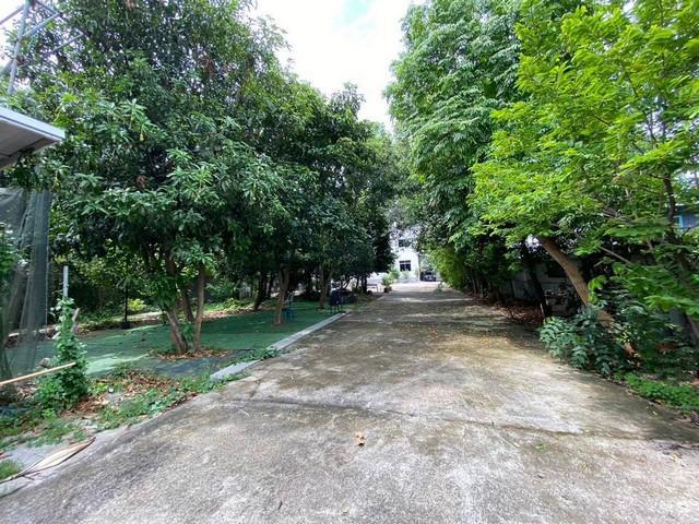 อาคารพาณิชย์ 75000 กรุงเทพมหานคร เขตคลองสามวา บางชัน อาคารพาณิชย์ 75000 กรุงเทพมหานคร เขตคลองสามวา บางชัน