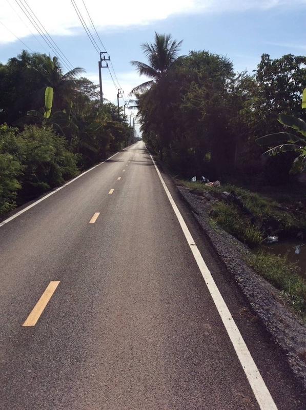 ที่ดิน 18000000 นนทบุรี ไทรน้อย ไทรใหญ่ ที่ดิน 18000000 นนทบุรี ไทรน้อย ไทรใหญ่