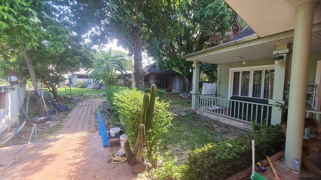 บ้านเดี่ยว 19000 ปทุมธานี ลำลูกกา บึงคำพร้อย บ้านเดี่ยว 19000 ปทุมธานี ลำลูกกา บึงคำพร้อย
