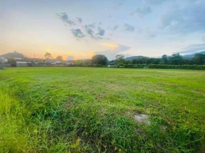 ที่ดิน 38400000 เชียงใหม่ เมืองเชียงใหม่ แม่เหียะ