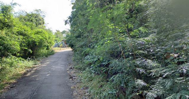 ที่ดิน 35080500 เลย เชียงคาน เชียงคาน ที่ดิน 35080500 เลย เชียงคาน เชียงคาน