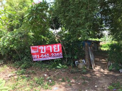 ที่ดิน 21000000 ชลบุรี บางละมุง นาเกลือ
