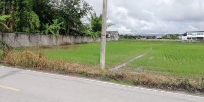 ที่ดิน 16000000 เชียงใหม่ หางดง น้ำแพร่