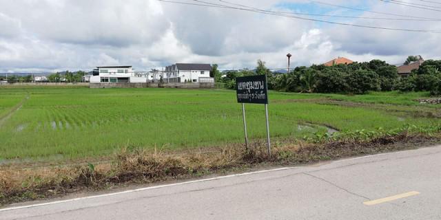 ที่ดิน 16000000 เชียงใหม่ หางดง น้ำแพร่ ที่ดิน 16000000 เชียงใหม่ หางดง น้ำแพร่