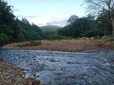ที่ดิน 800000 น่าน สันติสุข ดู่พงษ์