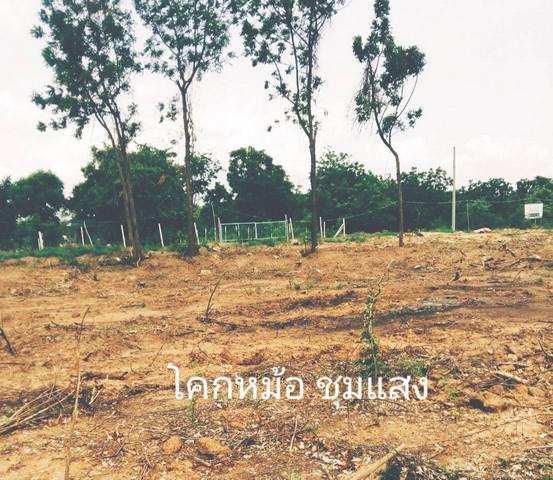 ที่ดิน 300000 นครสวรรค์ ชุมแสง โคกหม้อ ที่ดิน 300000 นครสวรรค์ ชุมแสง โคกหม้อ