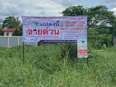 ที่ดิน 3700000 นนทบุรี ปากเกร็ด บางพูด