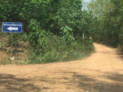ที่ดิน 22841600 น่าน กิ่งอำเภอภูเพียง ม่วงตึ๊ด