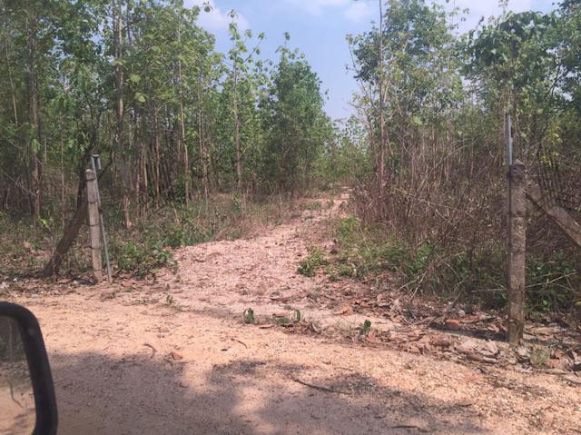 ที่ดิน 22841600 น่าน กิ่งอำเภอภูเพียง ม่วงตึ๊ด ที่ดิน 22841600 น่าน กิ่งอำเภอภูเพียง ม่วงตึ๊ด