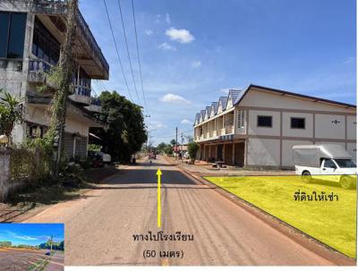 ที่ดิน 19998 สกลนคร สว่างแดนดิน สว่างแดนดิน