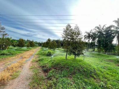 ที่ดิน 7500000 สุราษฎร์ธานี พุนพิน บางเดือน
