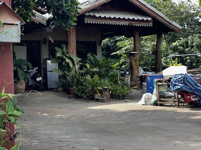 บ้านเดี่ยว 1007000 พะเยา เชียงคำ ฝายกวาง บ้านเดี่ยว 1007000 พะเยา เชียงคำ ฝายกวาง