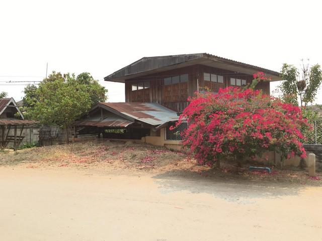 บ้านเดี่ยว 970000 พะเยา ดอกคำใต้ สันโค้ง บ้านเดี่ยว 970000 พะเยา ดอกคำใต้ สันโค้ง