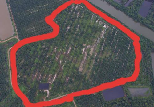 ที่ดิน 15000000 ชุมพร เมืองชุมพร ทุ่งคา ที่ดิน 15000000 ชุมพร เมืองชุมพร ทุ่งคา