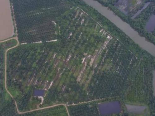 ที่ดิน 15000000 ชุมพร เมืองชุมพร ทุ่งคา ที่ดิน 15000000 ชุมพร เมืองชุมพร ทุ่งคา