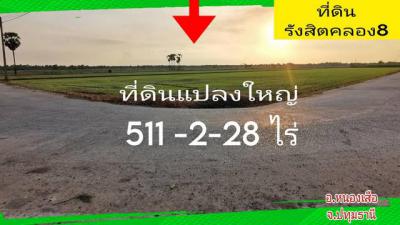 ที่ดิน 409200000 ปทุมธานี หนองเสือ บึงชำอ้อ