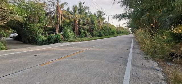 ที่ดิน 409200000 ปทุมธานี หนองเสือ บึงชำอ้อ ที่ดิน 409200000 ปทุมธานี หนองเสือ บึงชำอ้อ