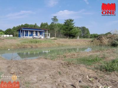 ที่ดิน 10500000 ชลบุรี กิ่งอำเภอเกาะจันทร์ เกาะจันทร์