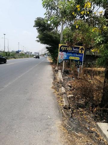ที่ดิน 48000000 ปทุมธานี ลำลูกกา บึงคำพร้อย ที่ดิน 48000000 ปทุมธานี ลำลูกกา บึงคำพร้อย