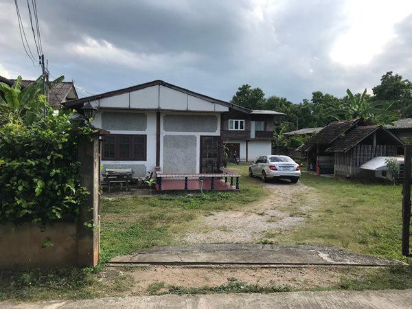 ที่ดิน 24500 เชียงใหม่ หางดง หนองควาย ที่ดิน 24500 เชียงใหม่ หางดง หนองควาย