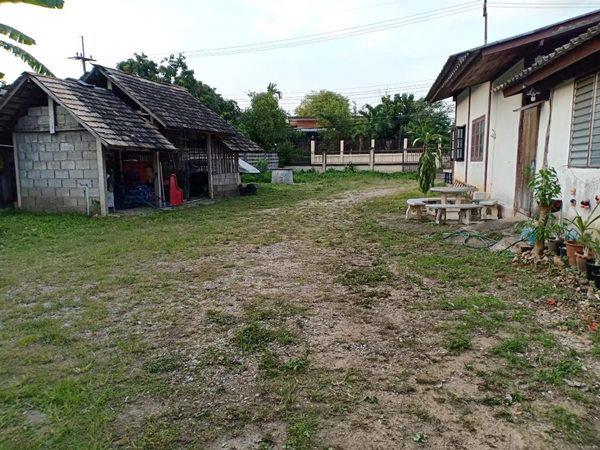 ที่ดิน 24500 เชียงใหม่ หางดง หนองควาย ที่ดิน 24500 เชียงใหม่ หางดง หนองควาย
