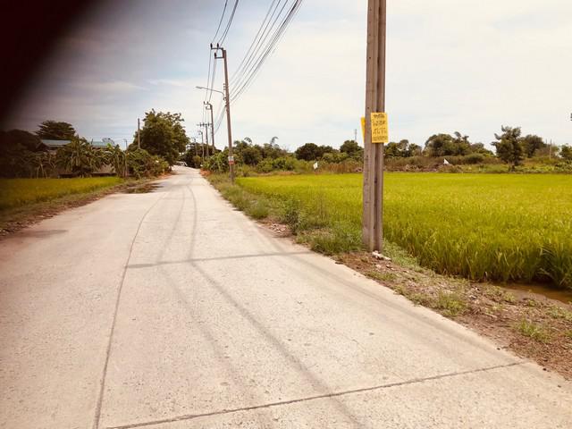 ที่ดิน 11896500 สมุทรปราการ กิ่งอำเภอบางเสาธง บางเสาธง ที่ดิน 11896500 สมุทรปราการ กิ่งอำเภอบางเสาธง บางเสาธง