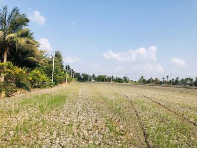 ที่ดิน 1500000 สมุทรปราการ กิ่งอำเภอบางเสาธง บางเสาธง