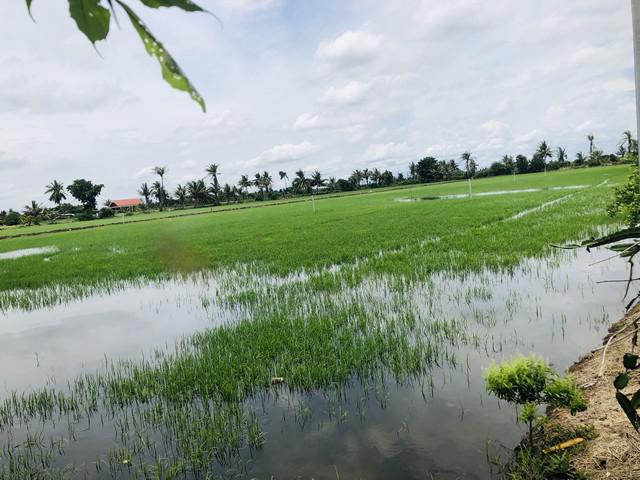 ที่ดิน 1500000 สมุทรปราการ กิ่งอำเภอบางเสาธง บางเสาธง ที่ดิน 1500000 สมุทรปราการ กิ่งอำเภอบางเสาธง บางเสาธง
