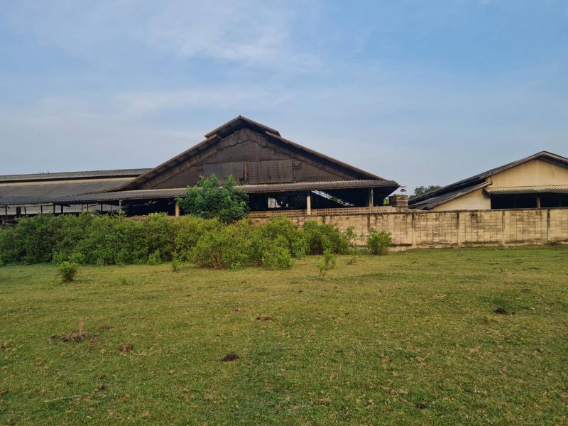 ที่ดิน 2250000 ราชบุรี โพธาราม บ้านฆ้อง ที่ดิน 2250000 ราชบุรี โพธาราม บ้านฆ้อง