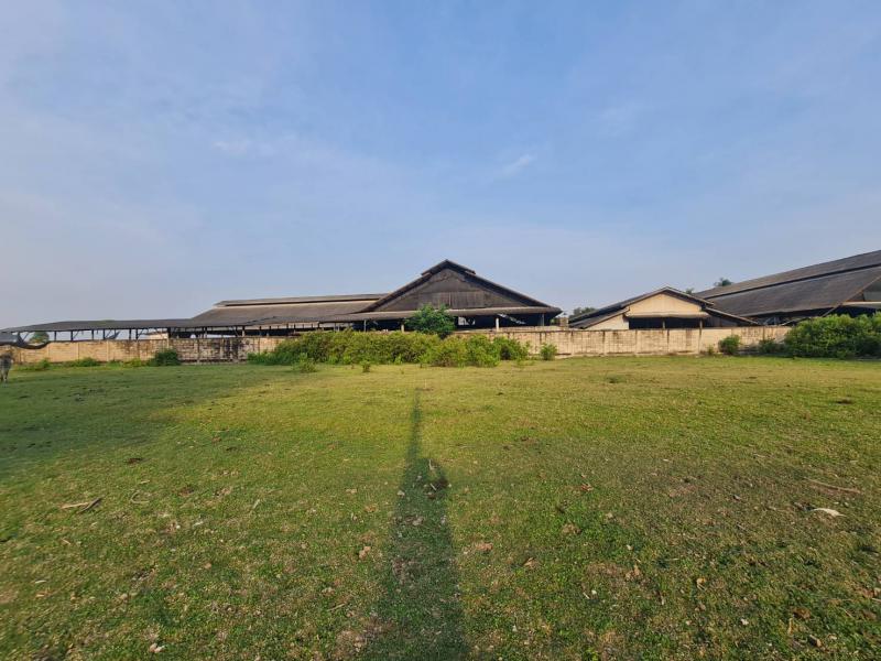 ที่ดิน 2250000 ราชบุรี โพธาราม บ้านฆ้อง ที่ดิน 2250000 ราชบุรี โพธาราม บ้านฆ้อง