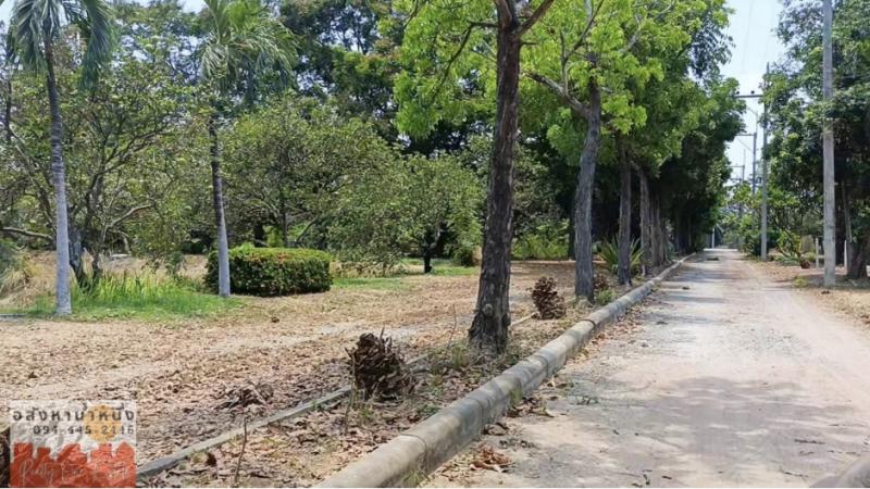 ที่ดิน 760000 กาญจนบุรี พนมทวน รางหวาย ที่ดิน 760000 กาญจนบุรี พนมทวน รางหวาย