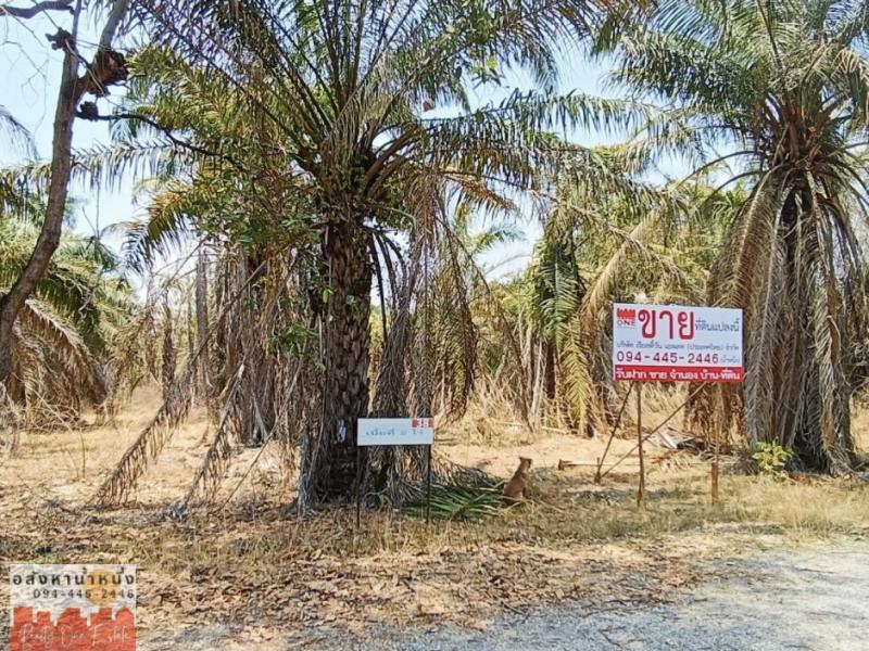 ที่ดิน 760000 กาญจนบุรี พนมทวน รางหวาย ที่ดิน 760000 กาญจนบุรี พนมทวน รางหวาย