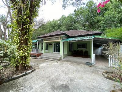 บ้านเดี่ยว 25000 ภูเก็ต ถลาง ศรีสุนทร