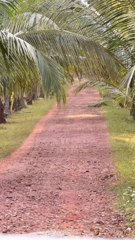 ที่ดิน 3500000 ประจวบคีรีขันธ์ บางสะพานน้อย ทรายทอง ที่ดิน 3500000 ประจวบคีรีขันธ์ บางสะพานน้อย ทรายทอง