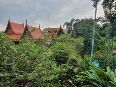 บ้านเดี่ยว 124000000 กรุงเทพมหานคร เขตหลักสี่ ตลาดบางเขน