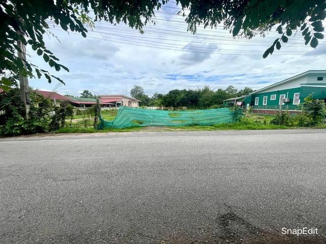 ที่ดิน 3500000 เชียงใหม่ สันป่าตอง มะขามหลวง ที่ดิน 3500000 เชียงใหม่ สันป่าตอง มะขามหลวง